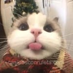 Avatar de Ismael Ceballos